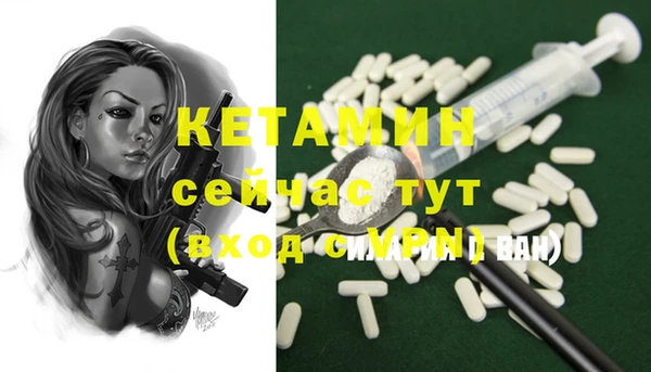 индика Богородск