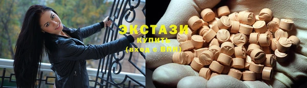ECSTASY Богданович