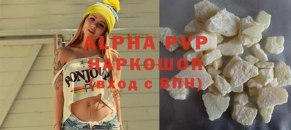 ECSTASY Богданович