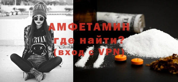 индика Богородск