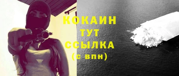 индика Богородск