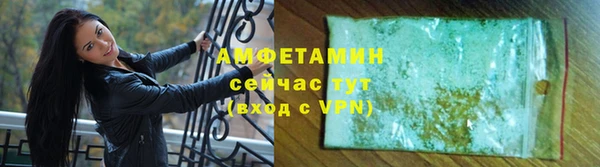 индика Богородск