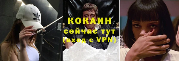 ECSTASY Богданович