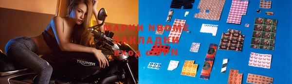 ECSTASY Богданович