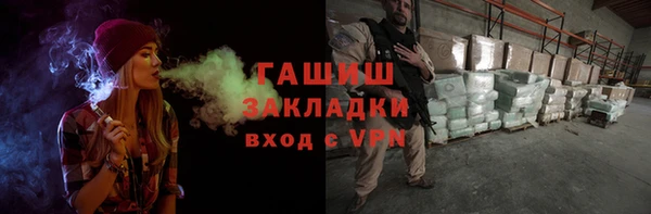 индика Богородск