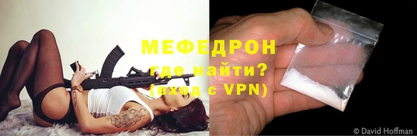 индика Богородск