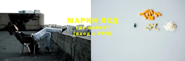 ECSTASY Богданович