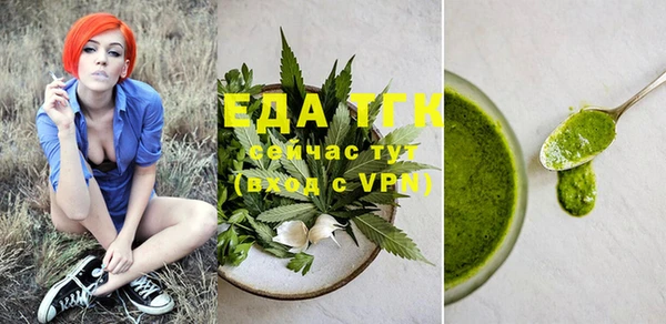индика Богородск