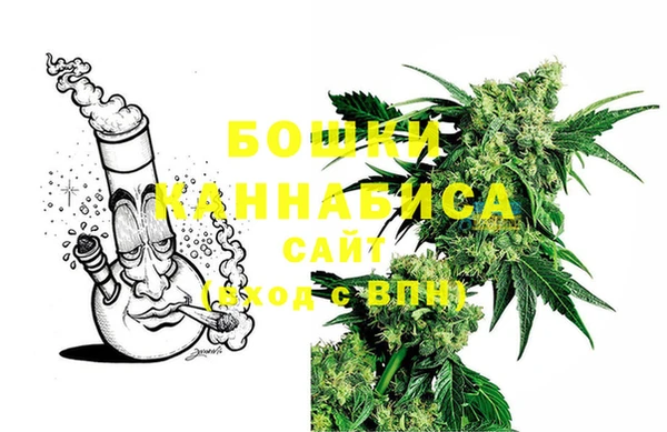 ECSTASY Богданович