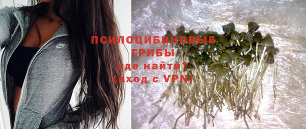 индика Богородск