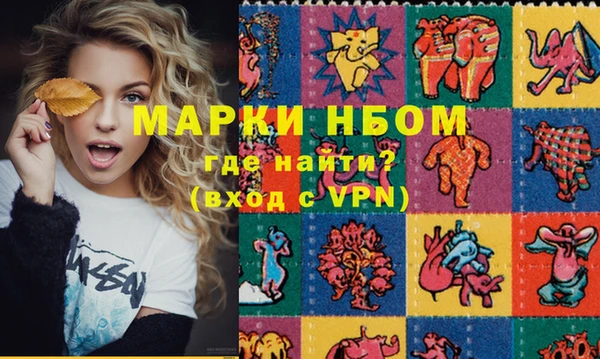 индика Богородск