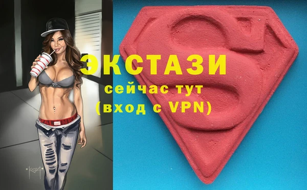 индика Богородск