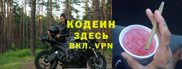 индика Богородск