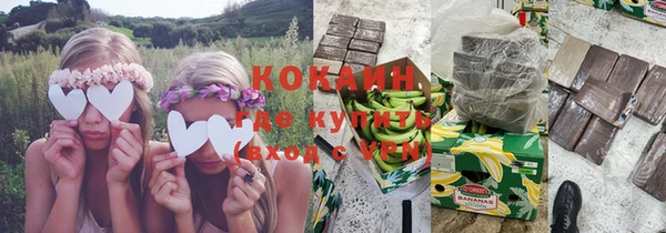 ECSTASY Богданович