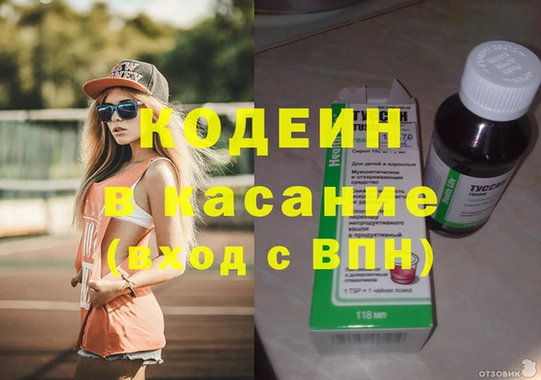 ECSTASY Богданович