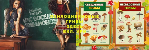 синтетический гашиш Богородицк