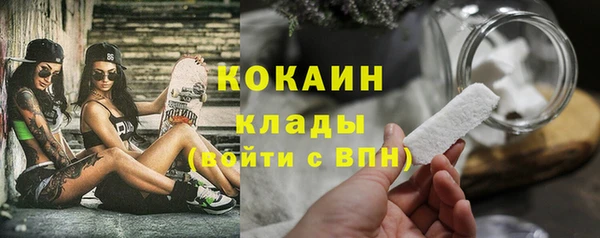ECSTASY Богданович
