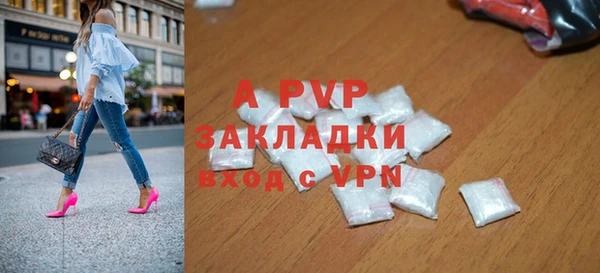 ECSTASY Богданович