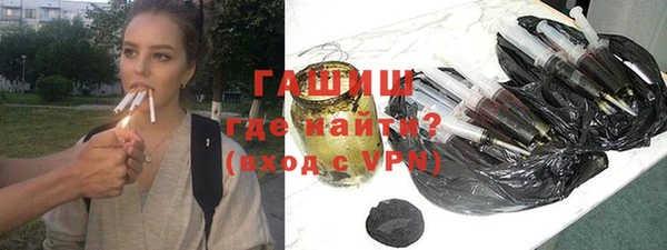 индика Богородск